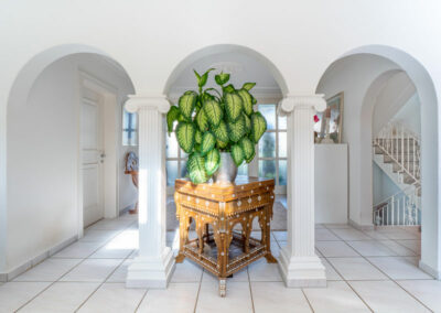 Eingangsbereich mit Pflanze in Luxusvilla und aussagekräftiger Fotografie